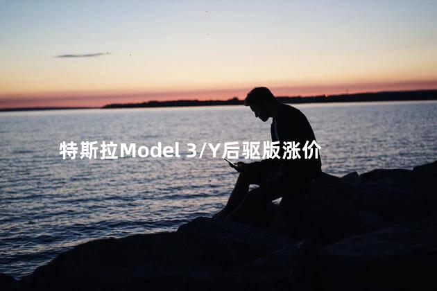 特斯拉Model 3/Y后驱版涨价